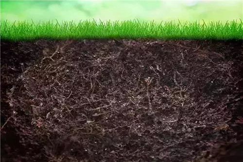 微生物菌是如何让土壤恢复健康的?